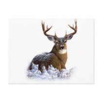 awesome rack postcards