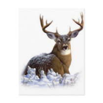 awesome rack postcards