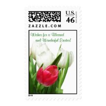 Awesome! Red and White Tulips Postage