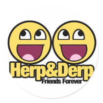 Awesome Smiley Herp and Derp Round Stickers
