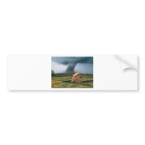 Awesome Spectacle Bumper Sticker