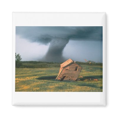 Awesome Spectacle Refrigerator Magnet by DejaVu_Images