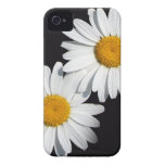 Awesome spring daisy flower. Case-Mate iPhone 4 cases
