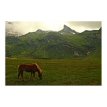 Awesome Switzerland Alps Poster or Canvas Print
