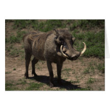 Awesome Warthog Greeting Card