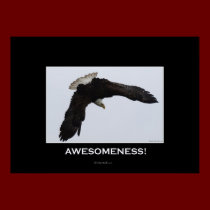 AWESOMENESS Motivational Eagle Poster posters