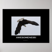 Awesome Motivational Poster on Awesome Motivational Posters  Awesome Motivational Prints  Art Prints
