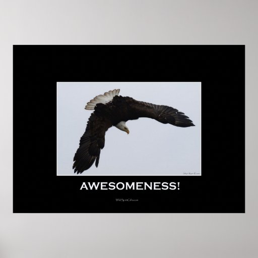 AWESOMENESS Motivational Eagle Poster