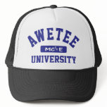 AWETEE TEE MESH HATS