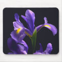Awsome, purple Iris mousepads by design_girl Awsome, purple Iris mousepads