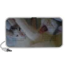 Awww Kitty speakers