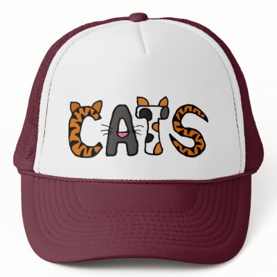 cats hat