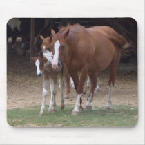 AX- Horse Lovers Design mousepads