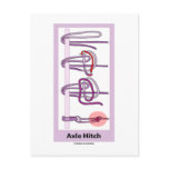 Axle Hitch Post Card