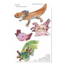Axolotls posters
