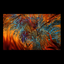 Axonal posters