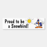 AY- Funny Snowbird Bumper Sticker