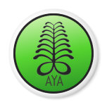 AYA NOT AFRAID OF YOU Magnet