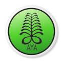 AYA NOT AFRAID OF YOU Magnet