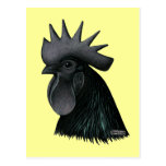 Ayam Cemani Rooster Head Post Cards