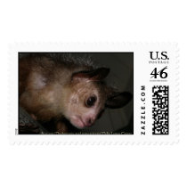 Aye-aye Lemur postage by krisfiddle Aye-aye Lemur postage