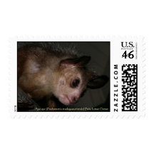 Aye-aye Lemur Postage Stamps