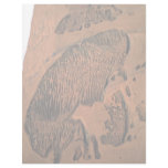 Ayers Rock, natural rock carving, Australia Letterhead Design
