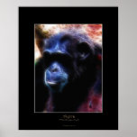 "AYIRA - The Chosen One" Chimpanzee Art Print