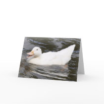 Aylesbury Duckling Greeting Cards