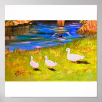 aylesbury ducks posters