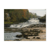 Aysgarth Lower Falls - Yorkshire Dales | postcards