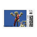 AZ. 140, ARIZONA BOB POSTAGE STAMPS