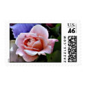 AZ- Delicate Rose Postage stamps by patcallum AZ- Delicate Rose Postage stamps