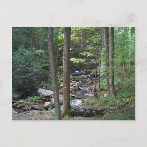AZ- Nature and stream postcard postcard