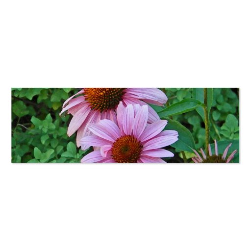 AZ- Pink Coneflower Floral Business Cards (back side)