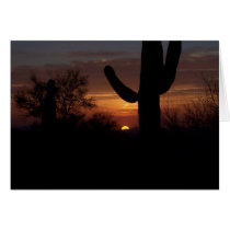 AZ sunset 1 Cards