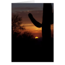 AZ sunset 1 cards by bobbyboy123 AZ sunset 1 cards