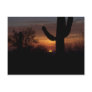 AZ sunset 1 Postcards