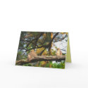 AZ- Thinking of you hawk card