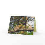 AZ- Thinking of you hawk card