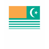 Azad Kashmir Flag t-shirts