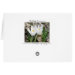 Atrás