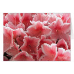 Azalea #1 card