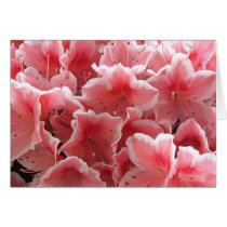 Azalea #1 cards by francor Azalea #1 cards
