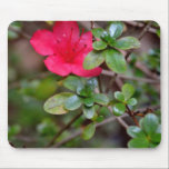 Azalea All Alone mousepads