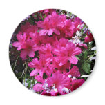 azalea and wisteria magnets