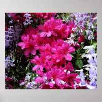 azalea  and wisteria poster