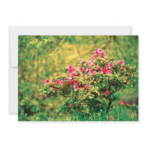Azalea blooming custom invites