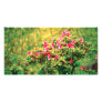 Azalea blooming custom photo card