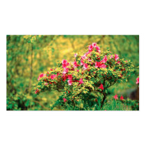 Azalea blooming - Pocket calendar Business Card Template